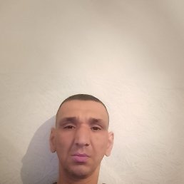 , 39, 