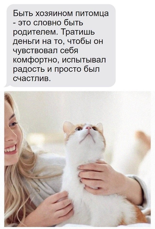 ��� �������� �������� - 6 ������� 2025 � 16:41