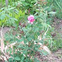 ���� ������� �������, ������, 46 ��� - ��������� 22 ���� 2024 � ������ ���� ����������