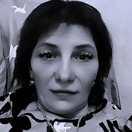 �������, ����, 46 ���