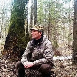 ���� ��������, �����, 62 ���� - ��������� 23 ������� 2024