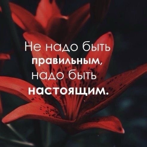   - 28  2024  18:39