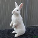 ���� ������ ���, ������ - ��������� 17 ������� 2025