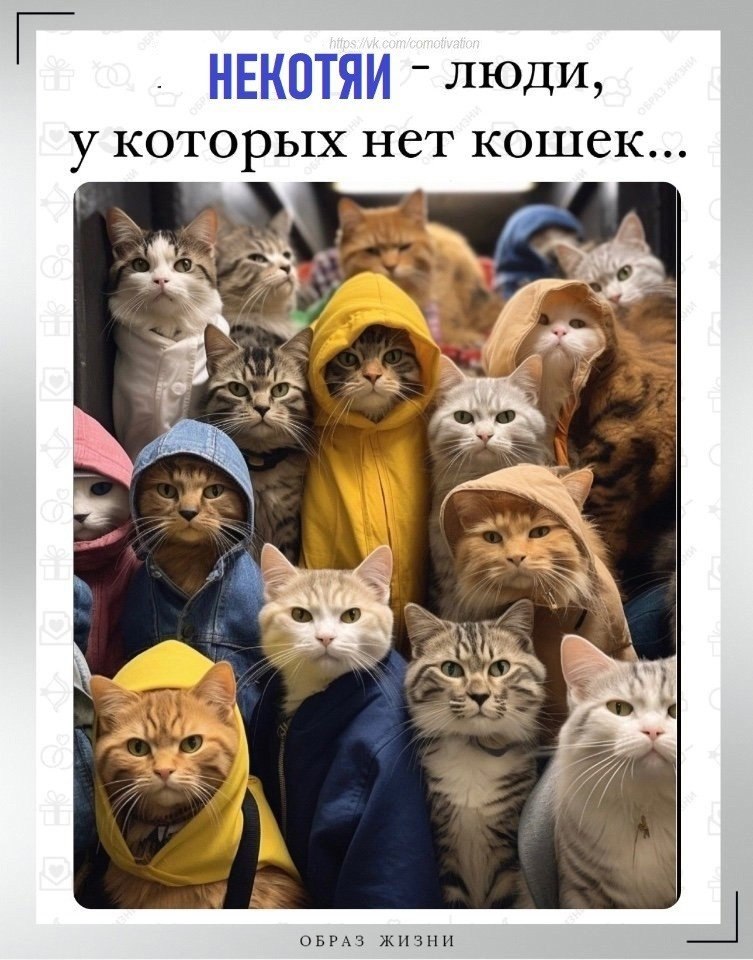 Co-Motivation.... . - 6  2024  16:27