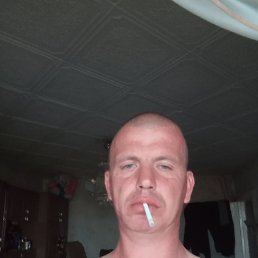 , 44, 