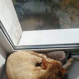 ���� ������, ������, 28 ��� - ��������� 3 ������� 2024