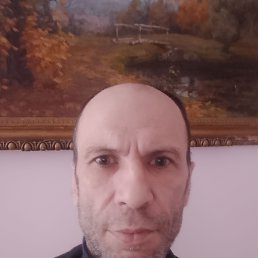   , , 50  -  24  2025