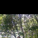 ���� �����, �����������, 37 ��� - ��������� 5 �������� 2025