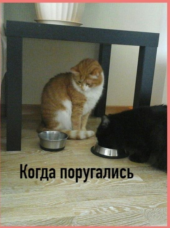      - 28  2025  12:46