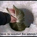    , -, 71  -  7  2025    Ȼ