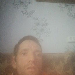 , 43 , 