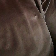 , 19 , 