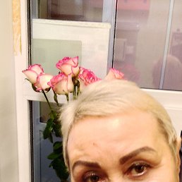 , 58, 