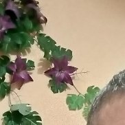 ��������, 39 ���, �������