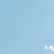 ���������, 42 ����, ������