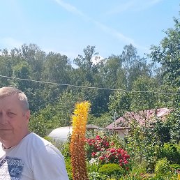 ��������, 65 ���, ������ ��������