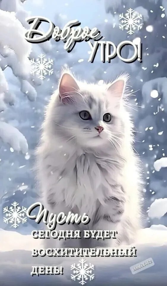 ***Victoria Viktorovna*** - 17  2025  02:01