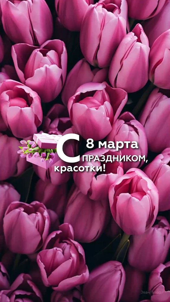   ,    . - 7  2024  21:13