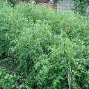 ���� �����, �������� - ��������� 26 ���� 2025 � ������ ������� 2025�