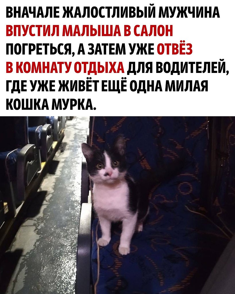    - 2