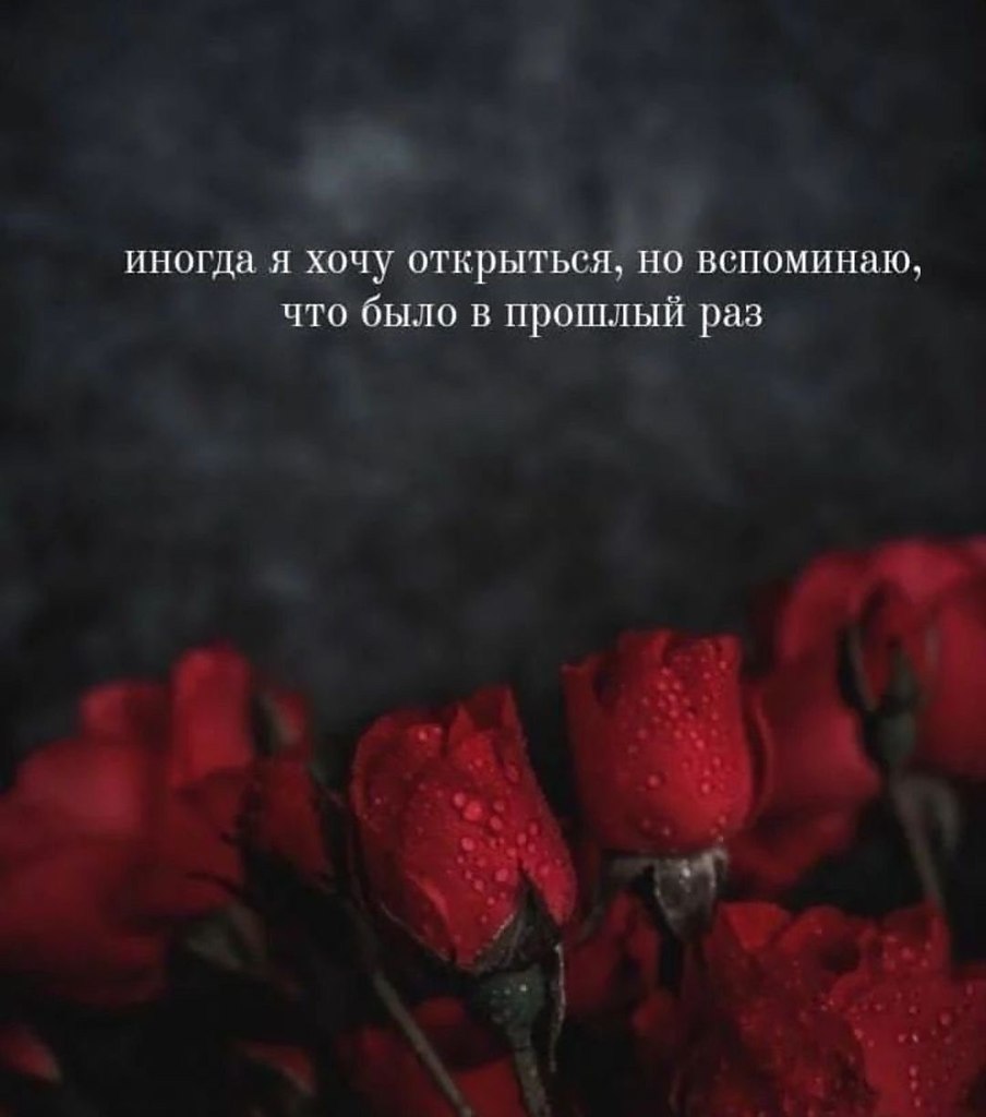   - 11  2025  15:41