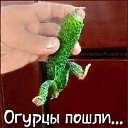 ���� �����, �����, 48 ��� - ��������� 30 ������ 2025 � ������ ������ ��������
