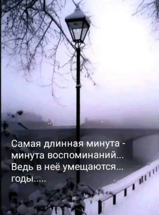 ***Victoria Viktorovna*** - 19  2024  15:05