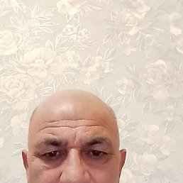 , 51, 