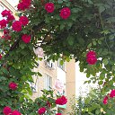 ���� ������, ������, 70 ��� - ��������� 30 ����� 2026 � ������ ���� ����������