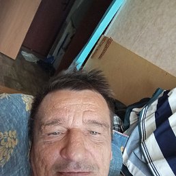 , 55,  