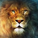 ���� ����.229, ����, 44 ���� - ��������� 31 ����� 2024 � ������ ���� ����������