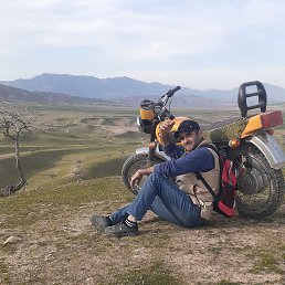 , 36, 