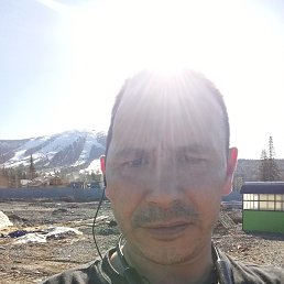 , 41, 