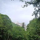 ���� ����, ������, 44 ���� - ��������� 9 ���� 2025 � ������ ������������� ������ ���� 2024 ����� 1�