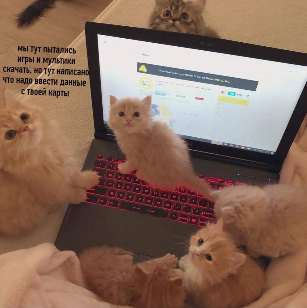    - 3  2024  22:39