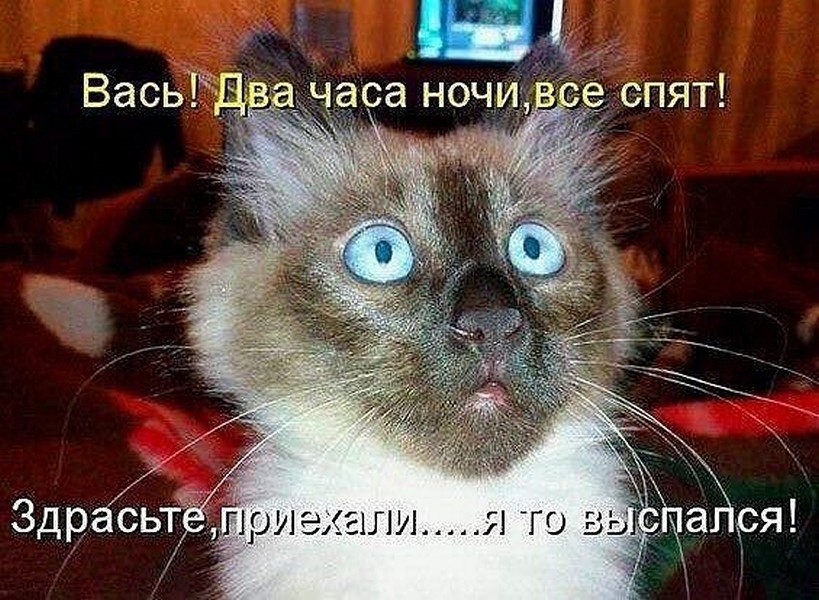 ? ,  ! - 29  2025  12:39