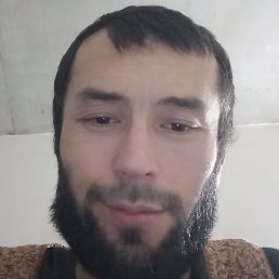 , , 29 