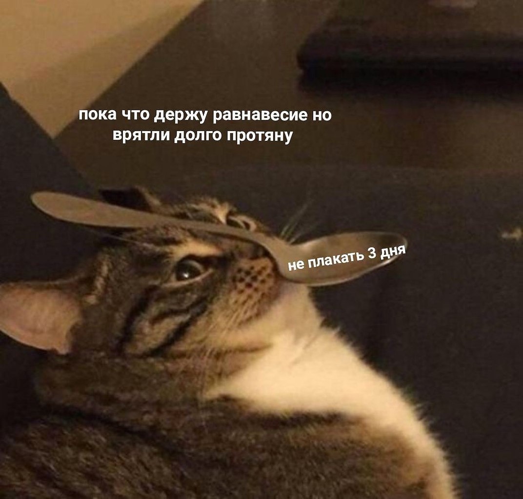    - 4  2024  00:21