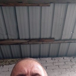 , 39 , 