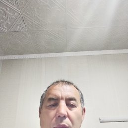 , 56, 