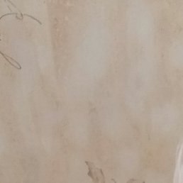 ���, ������������, 53 ����