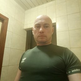, , 41 