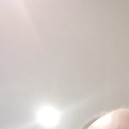 �����, ������, 49 ���