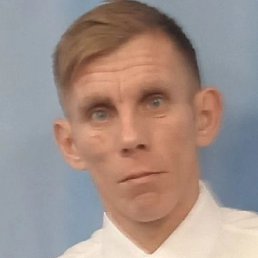 ������, ������, 40 ���