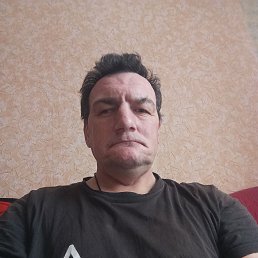 , 48, 