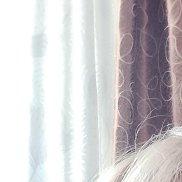, 52 , 