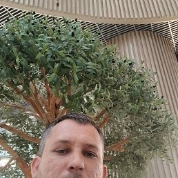 ������, 39 ���, ���������