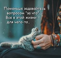  - 19  2024  17:27