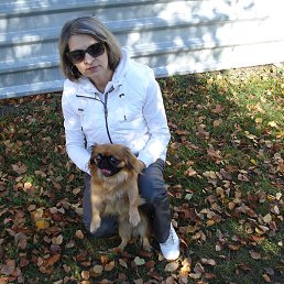 �����, ������, 61 ���