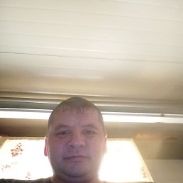 �������, 40 ���, ����